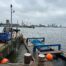 Hompert-Renes - NDSM Pier